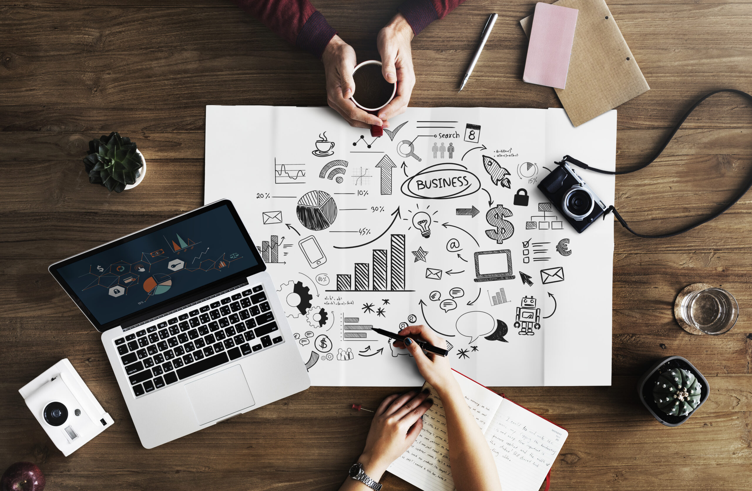 marketing or business plan